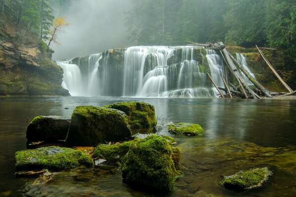 Schöne Wasserfälle sind von Wald umgeben