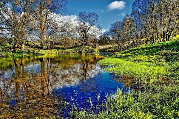 Landschaft mit Fluss und Natur in Reflexion