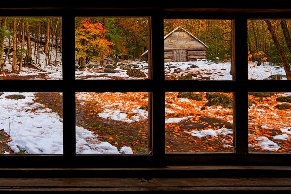 Maravillosa vista desde la ventana de la naturaleza