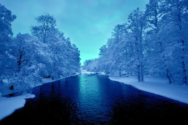 Snow-covered winter forest on the river bank