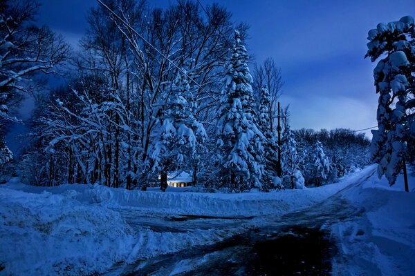 Casa en el bosque en el crepúsculo de invierno