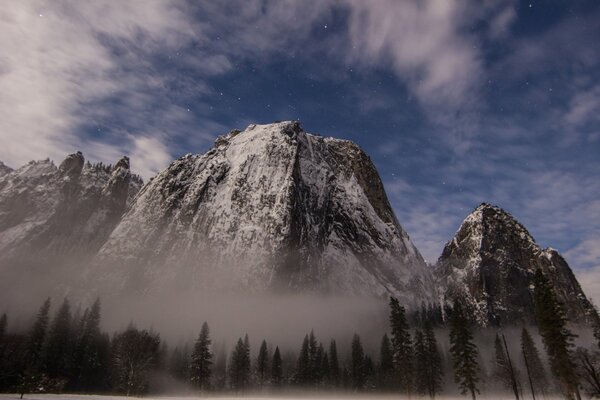 USA Yosemite National Park and the forest in the fog