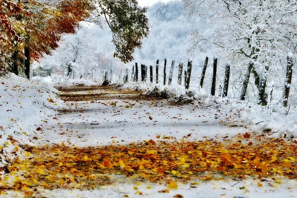 Feuilles et neige sur la route