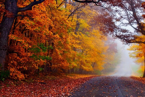 Herbstzeit mit Augenzwinkern