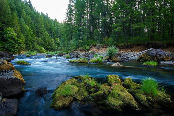 Montagne rivière forêt pierres