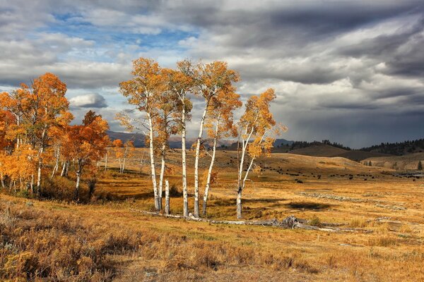 Yellowstone National Park in the USA in autumn