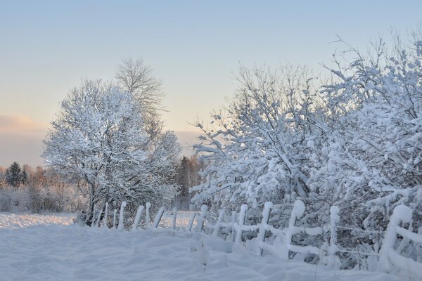 Winter rustikale Landschaft. Frost und Sonne