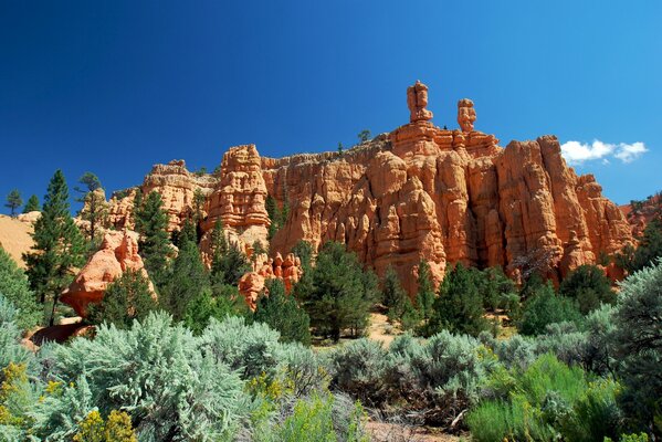 Utah red Canyon Bäume Himmel