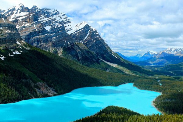 Landscape blue lake mountains forest