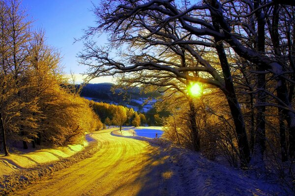 Route d hiver à travers la forêt