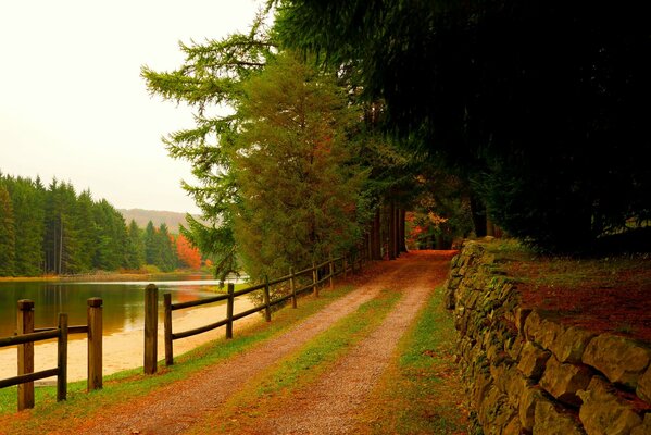 Una passeggiata nel parco colorato