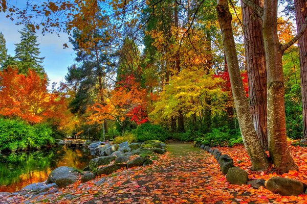 Foresta autunnale e fiume