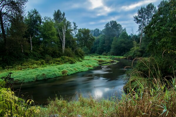 Schöne kanadische Landschaft. Fluss im Wald