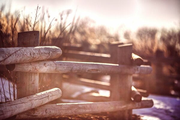 Rustic landscape. Fence. Winter