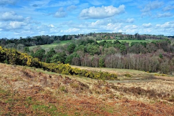 Landscape in the countryside