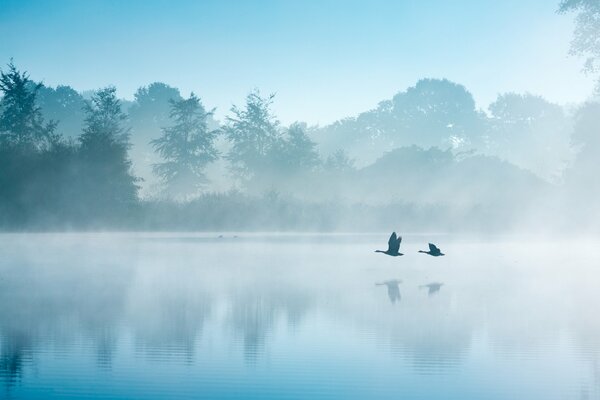 Paysage du lac du matin aux pays-bas