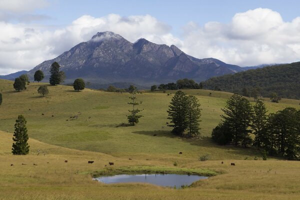 Prados de montaña con árboles y lago