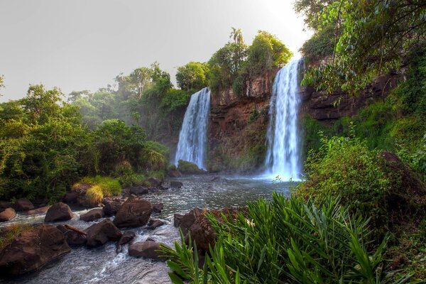 Wasserfall im grünen Dschungel