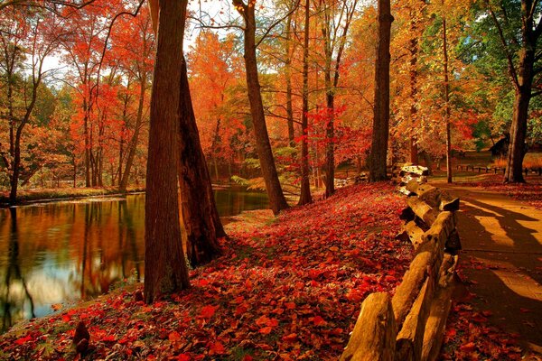 La naturaleza colorida fotoempapelado en el Escritorio