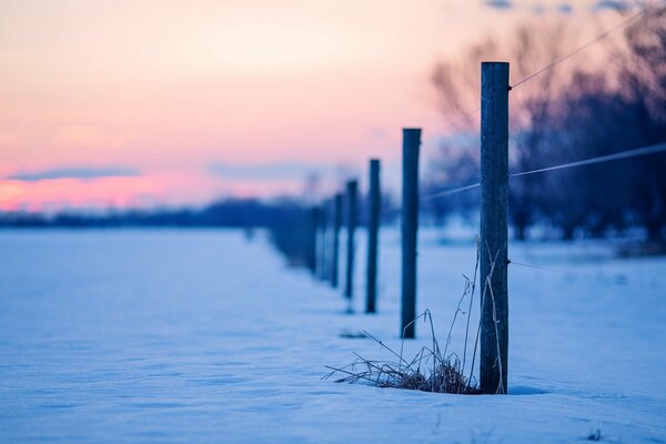 Paysage enneigé coucher de soleil d hiver