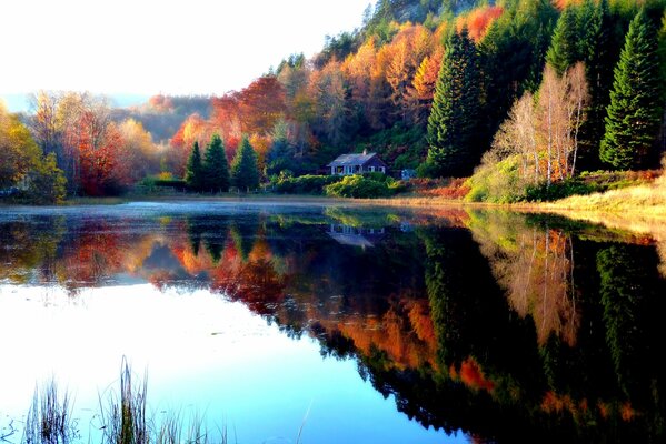 Espejo lago en el fondo de un bosque multicolor