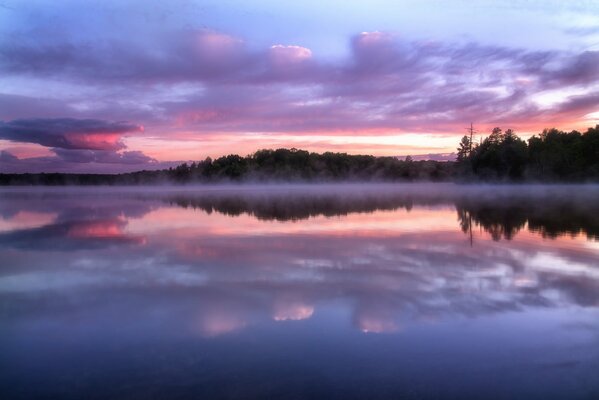 Reflexion des Waldes mit den Farben des Sonnenuntergangs im Lake Wisconsin