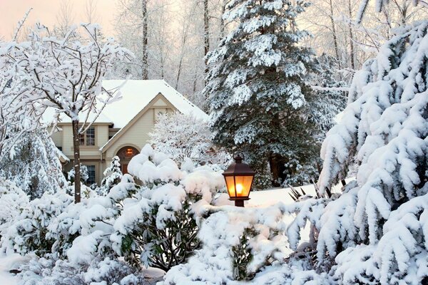 Winter landscape and snow-covered house