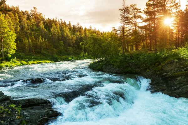 Es ist interessant, den Fluss mit solchen Stromschnellen zu beobachten