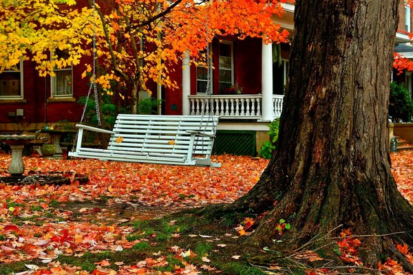 Herbsttag, an einem alten Baum am Haus hängt eine Schaukel