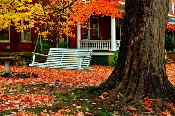 Un día de otoño, un columpio cuelga en el viejo árbol de la casa