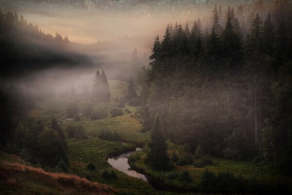 Niebla en el río en el bosque de Bohemia
