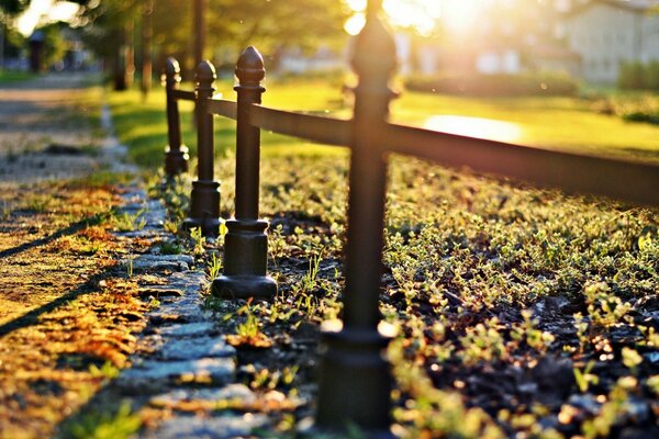 Tramonto autunnale nel parco cittadino