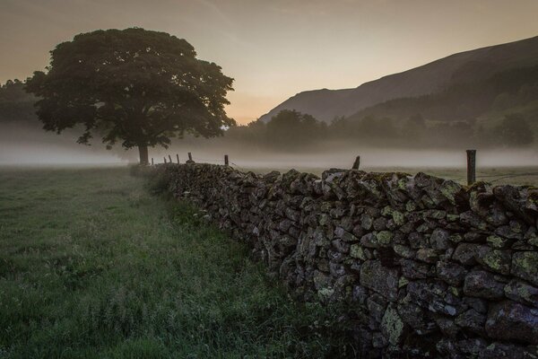 Valla de piedra en el campo por la mañana