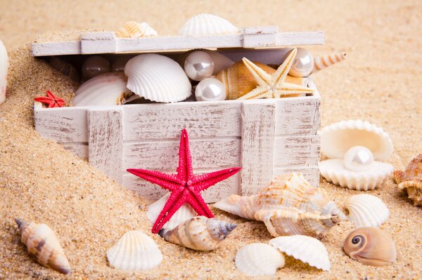 Una Caja de estrellas de mar y conchas marinas en la arena