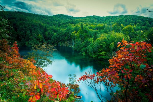 En Pologne, très beaux lacs, arbres, vieux Las