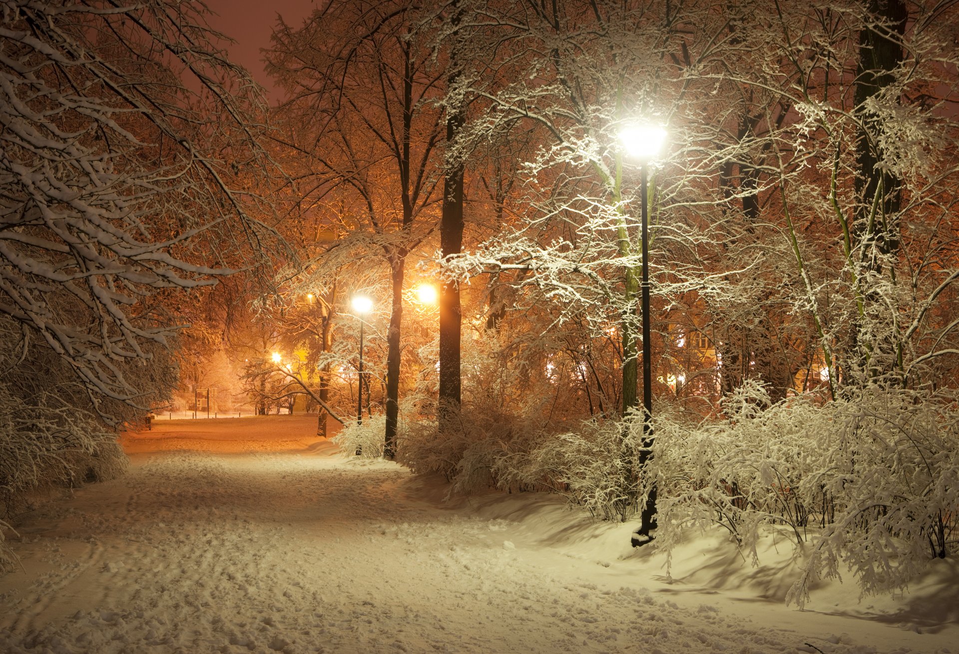 noche romántica parque de invierno callejón linternas carretera naturaleza hermosa escena paisaje poste de la lámpara lámparas noche medianoche linternas parque de invierno linterna luces