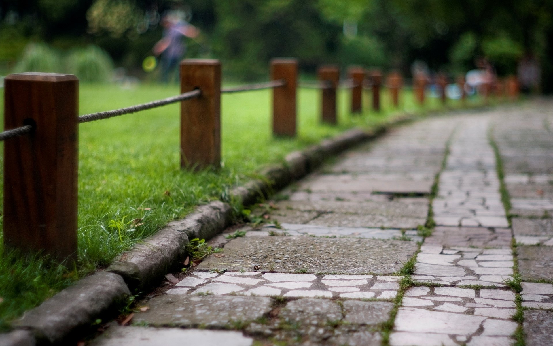 nature macro path alley grass greenery meadow fence fence fence stones blur background wallpaper widescreen fullscreen widescreen widescreen