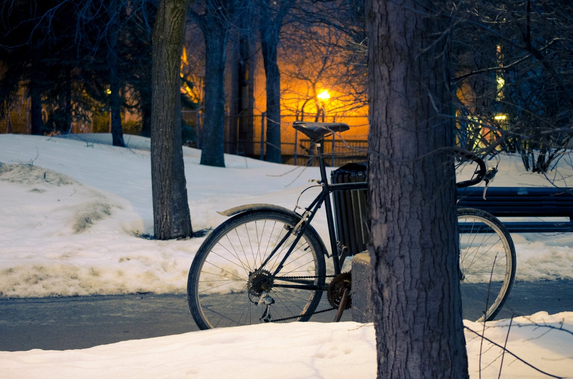 winter park neige rue arbres soleil coucher de soleil parc hiver