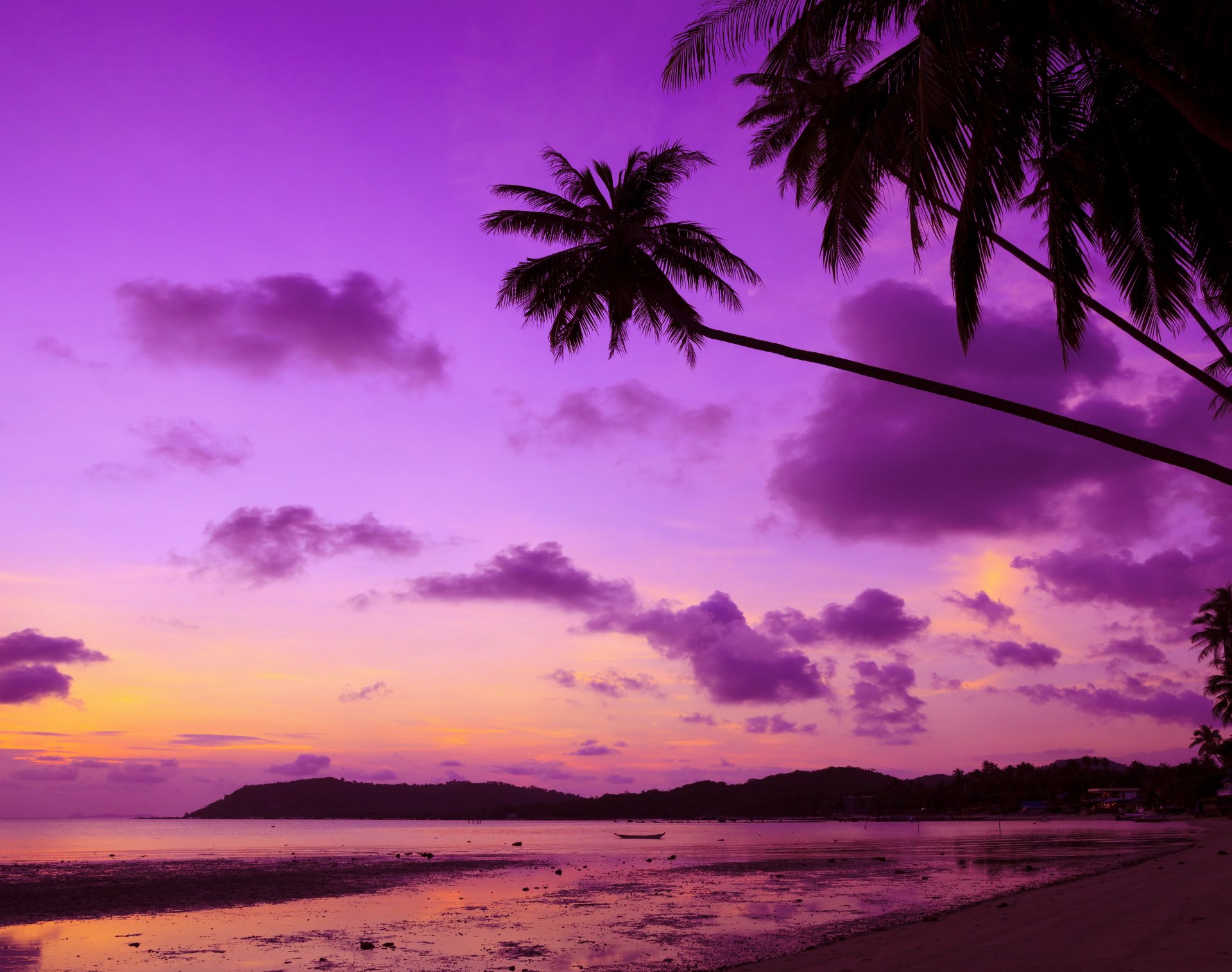 tropical paradis plage palmiers mer océan coucher de soleil violet tropiques rivage