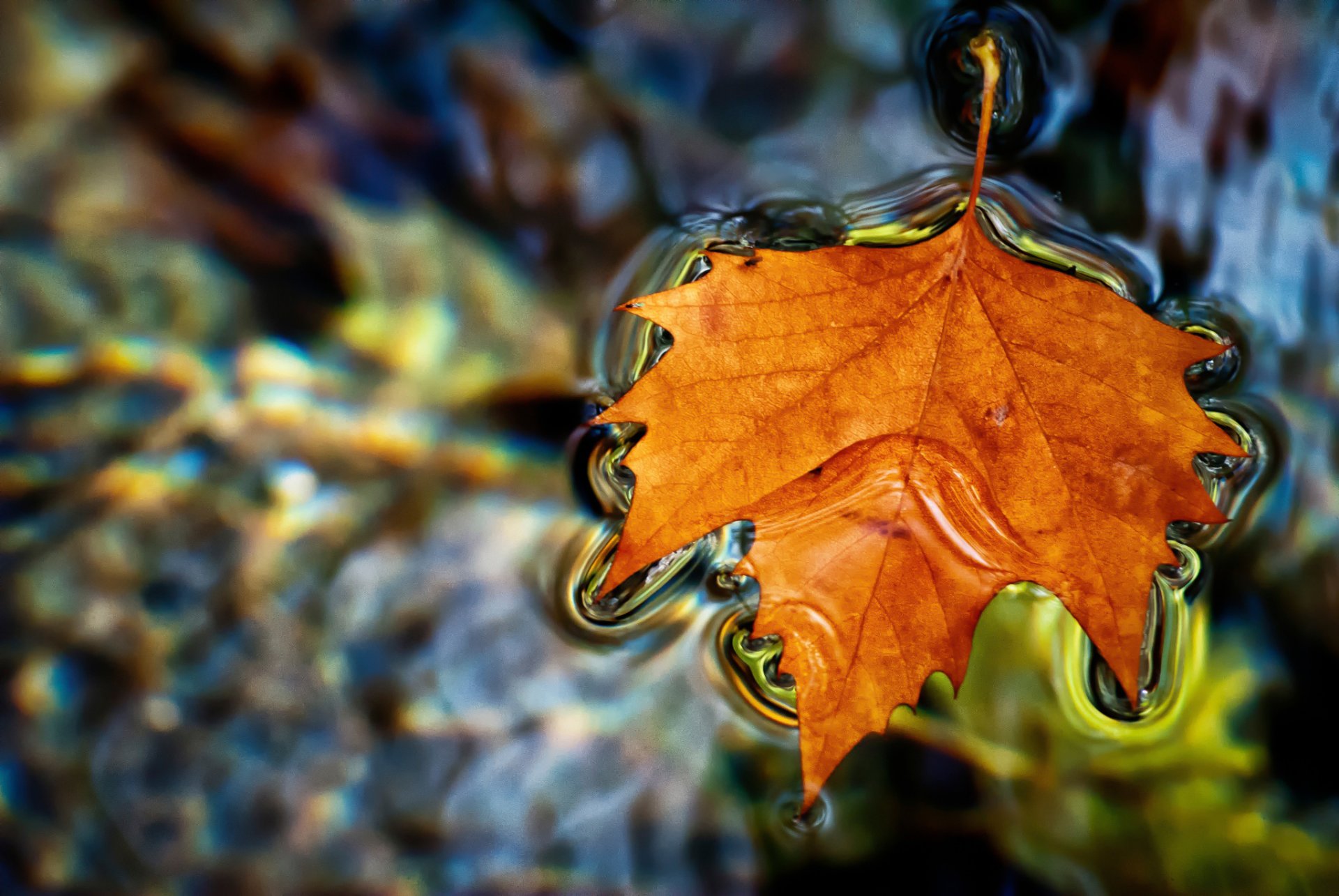 heet autumn water