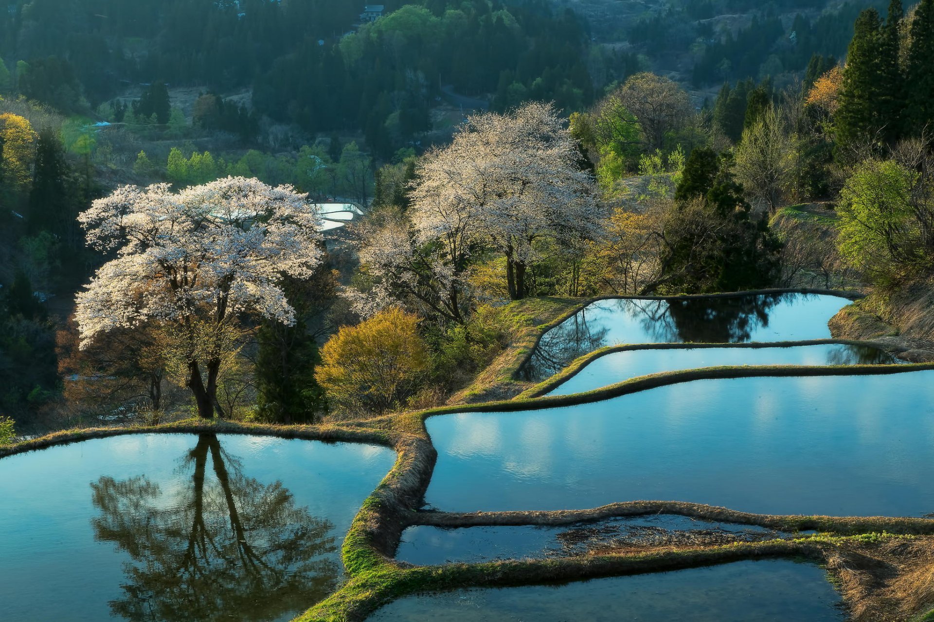 nature plantations montagnes asie