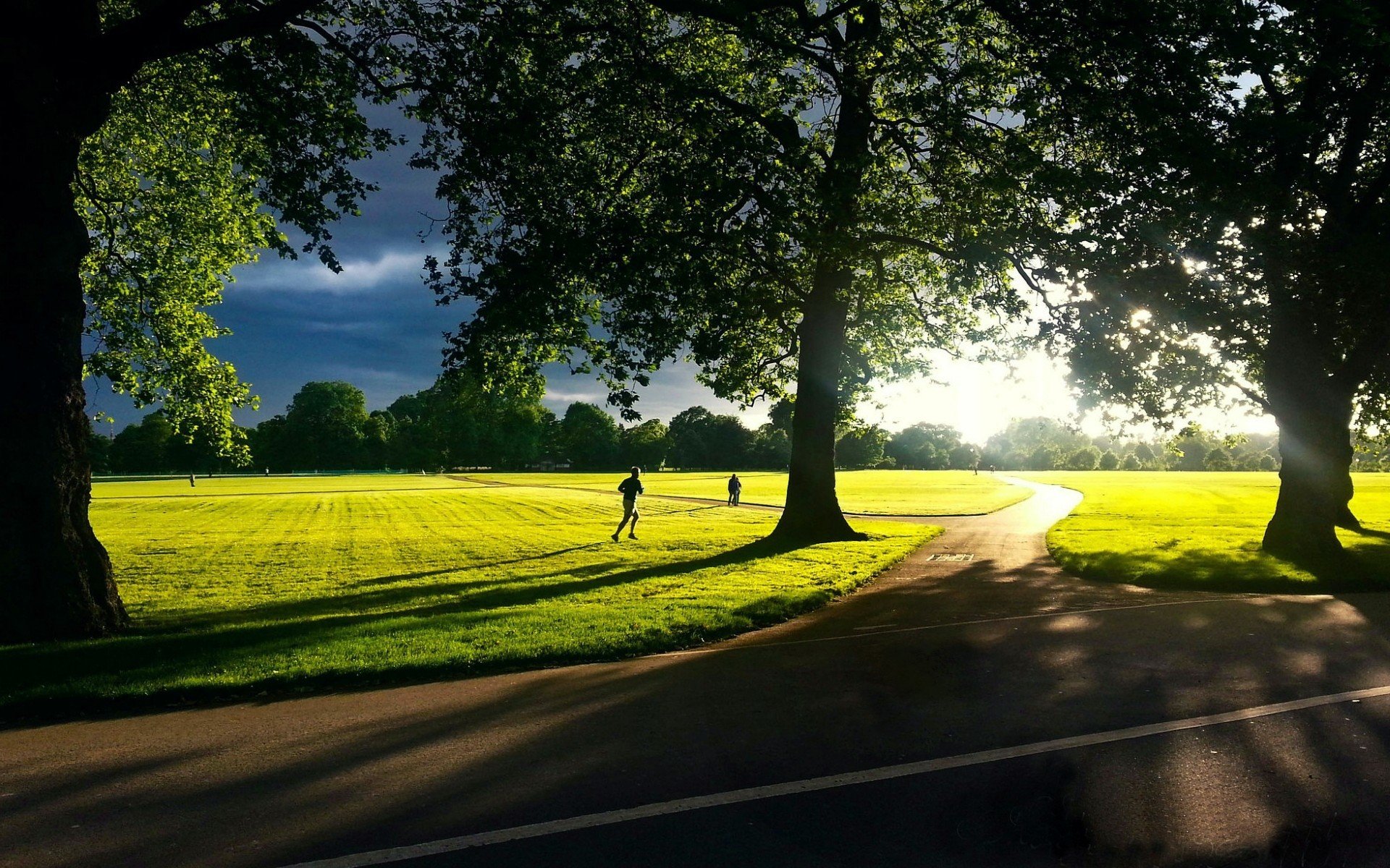 natur landschaft mann mann kerl laufen bewegung grün gras wiese bäume sonne hintergrund tapete widescreen vollbild widescreen widescreen weg schatten tag himmel laub baum mensch ich