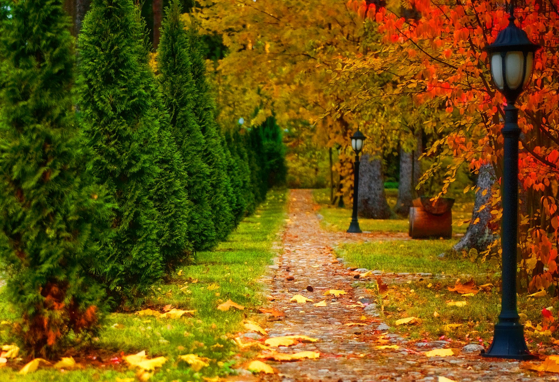 natur landschaft herbst straße bäume laterne blätter