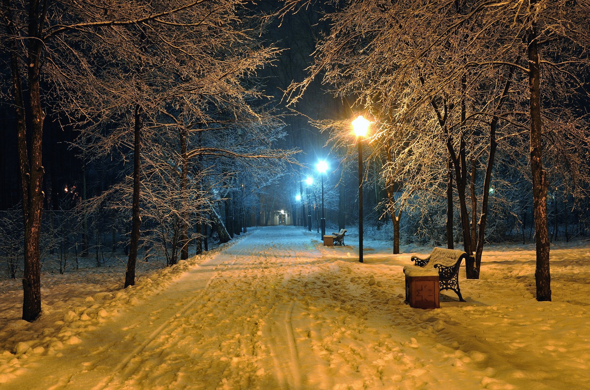 noche romántica bancos bancos parque de nieve de invierno carretera parque naturaleza hermosa escena paisaje poste de luz lámparas noche medianoche linternas banco parque de nieve de invierno