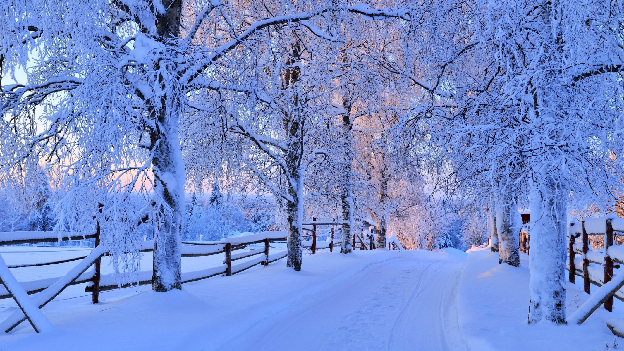 naturaleza invierno nieve carretera árboles bosque cielo paisaje invierno blanco fresco agradable puesta de sol