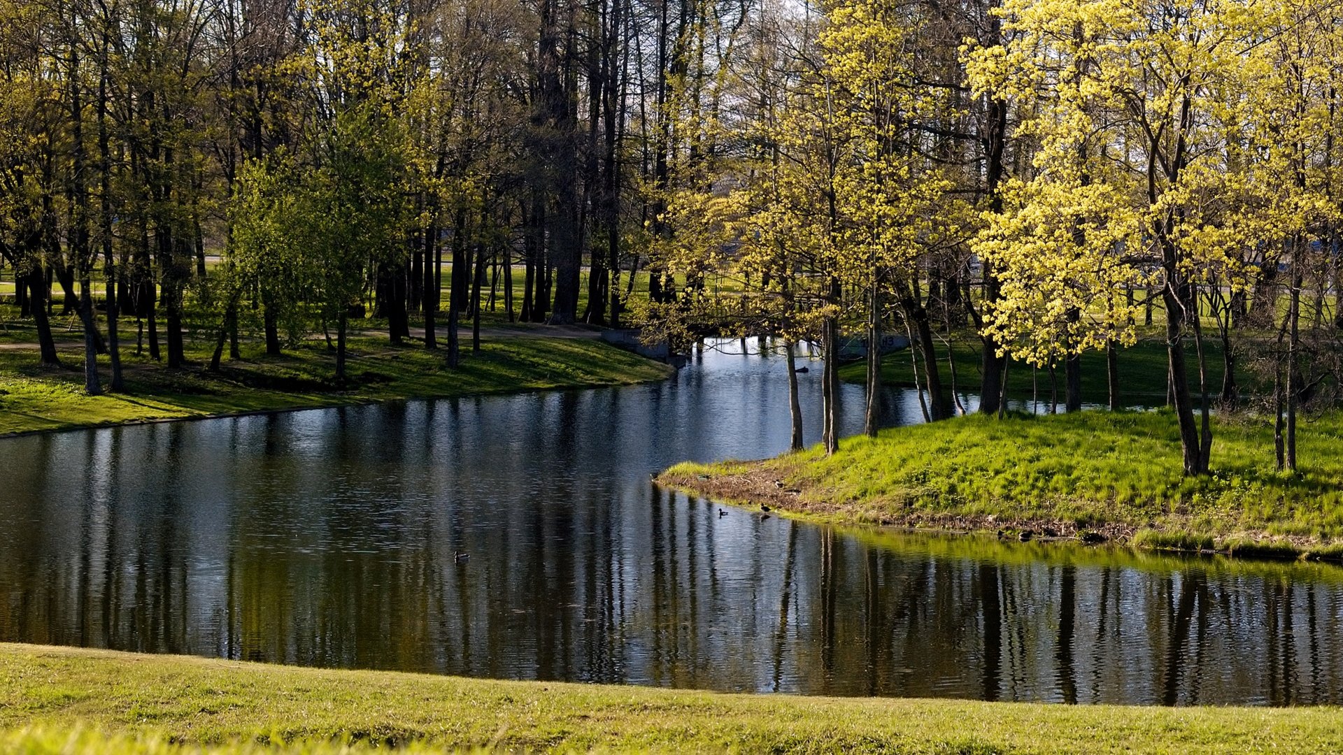 park drzewa staw jezioro rzeka jesień trawa liście