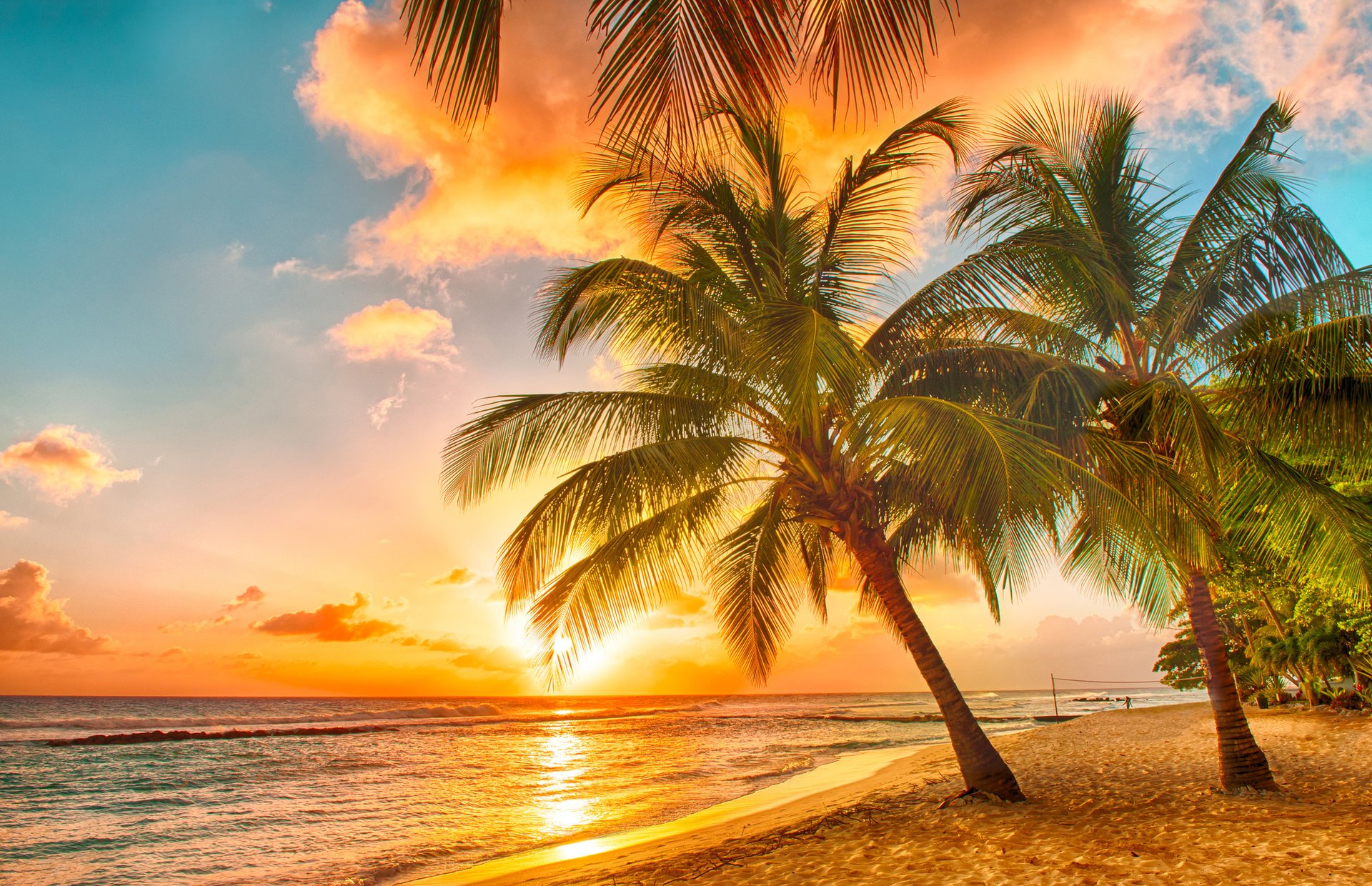 tropical paradis plage palmiers mer océan coucher de soleil tropiques sable rivage