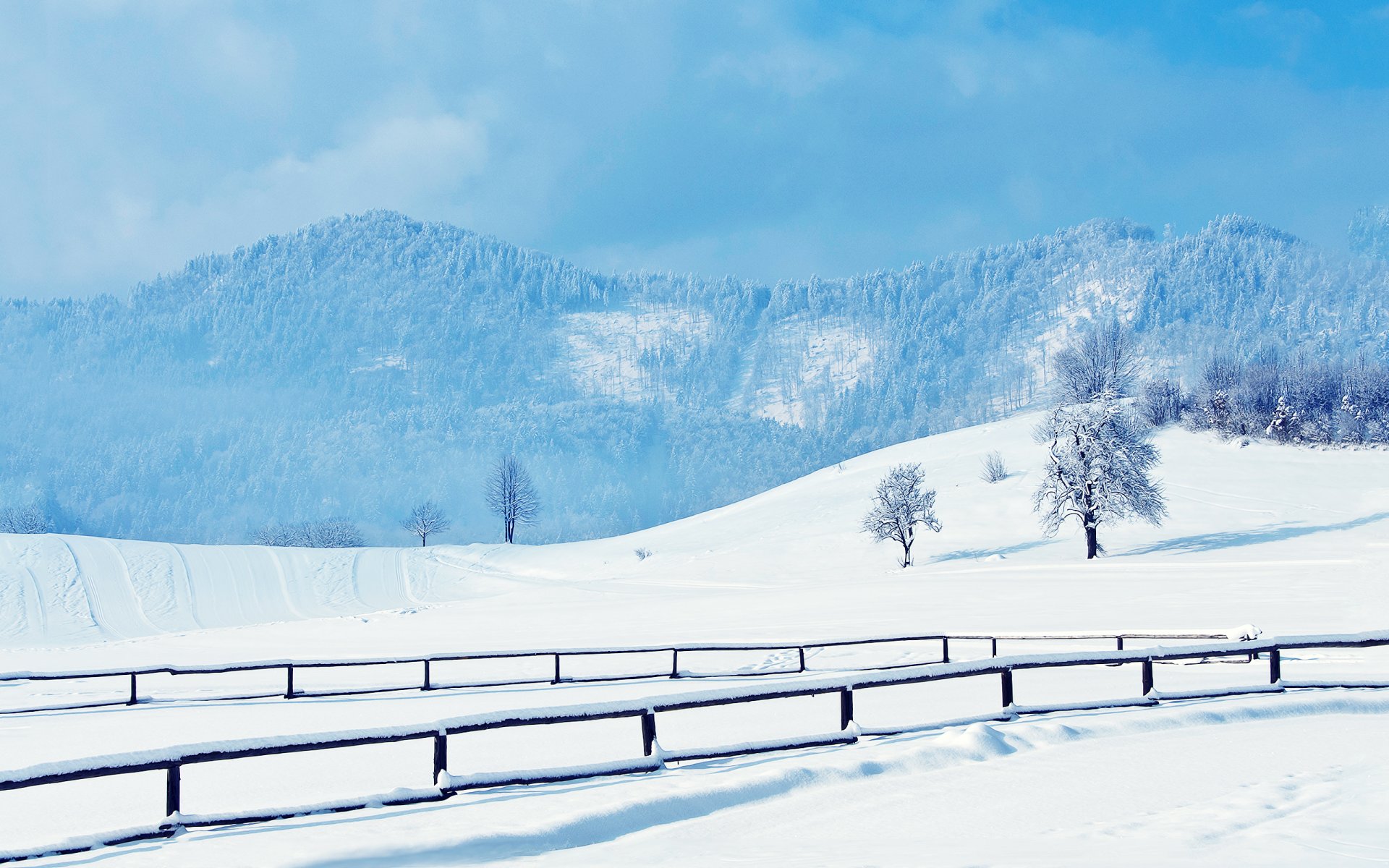 winter snow hills traces road rails tree