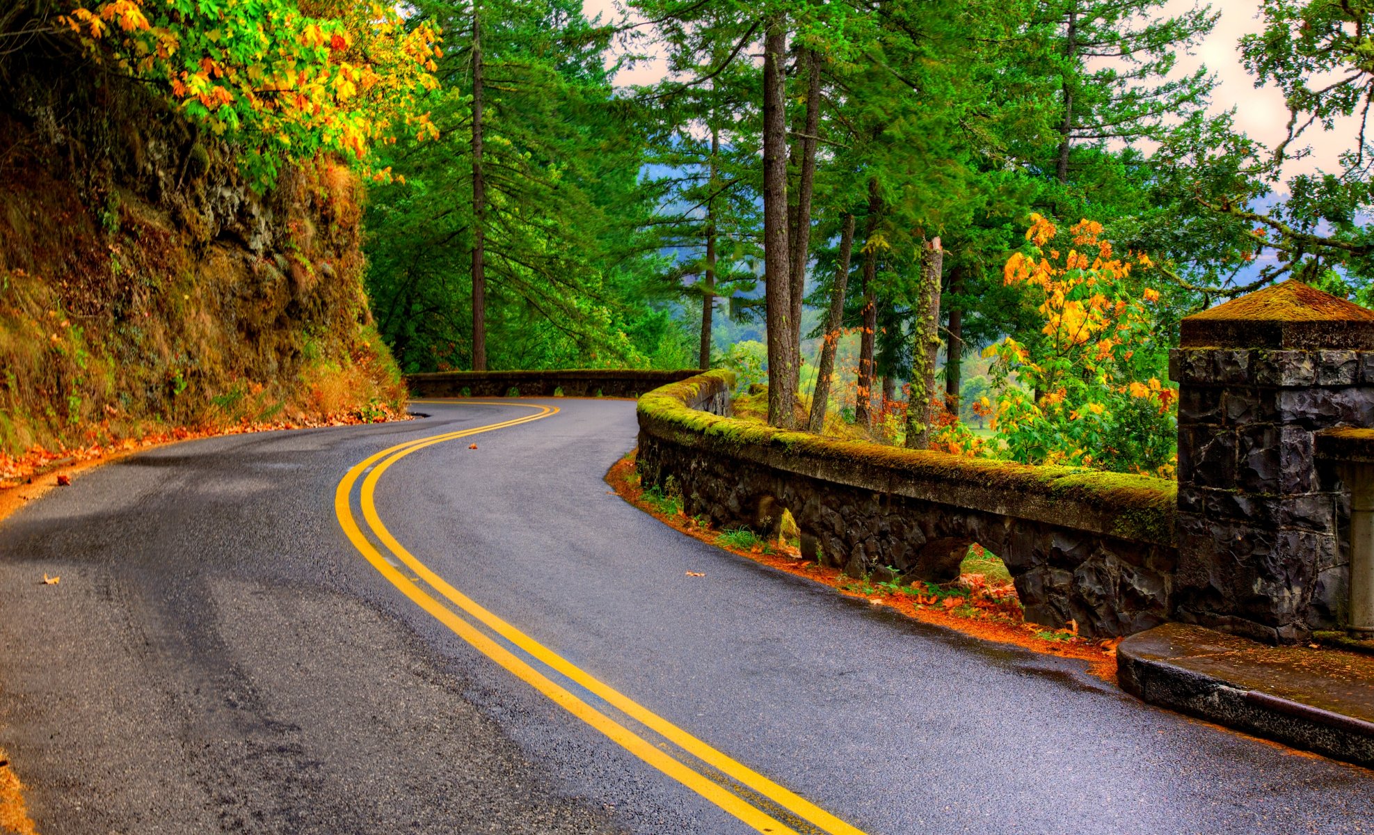 natur bäume berg blätter bunt straße herbst herbst farben zu fuß