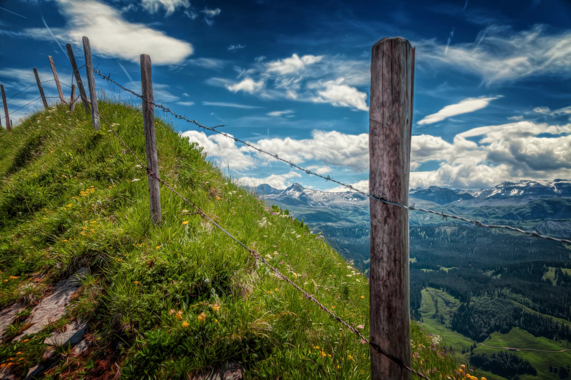 paesaggio vista recinzione barb